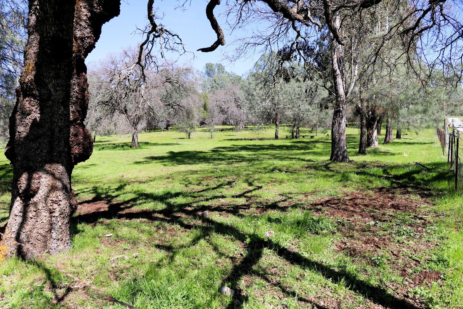 0 Ranchero Road