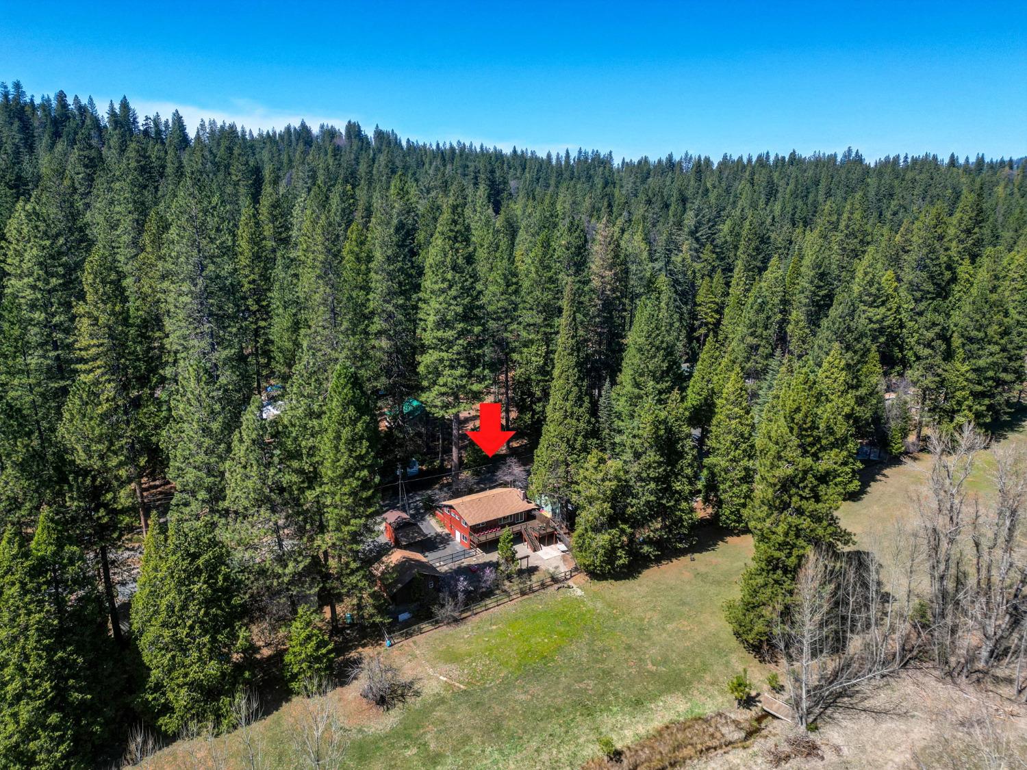 1933 Pine Drive