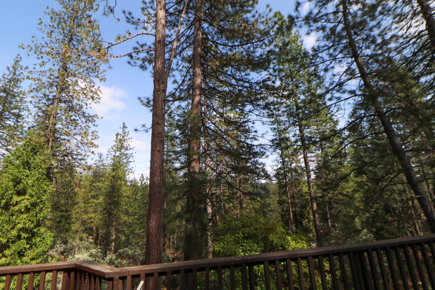 2051 Georgeann Drive