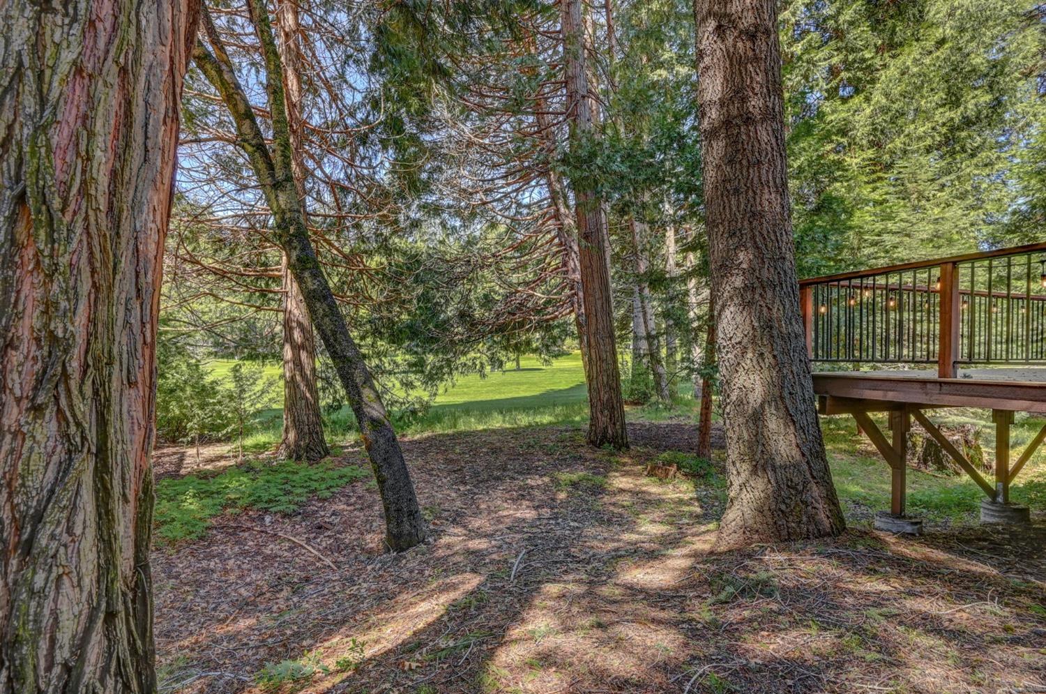 1148 Brae Burn Drive