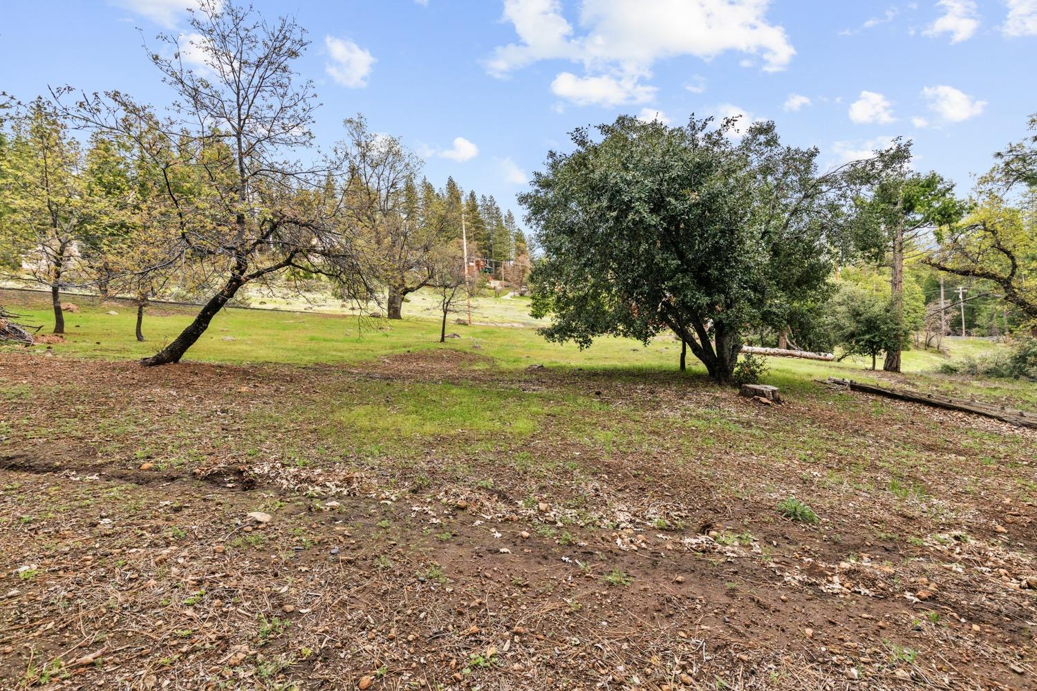 3166 Dalmatia Drive