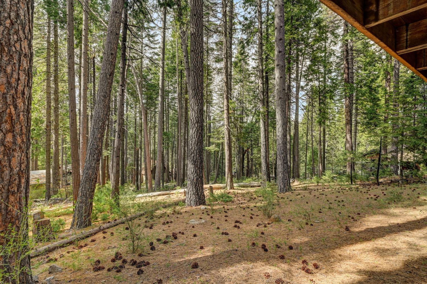 3036 Pine Lake Drive
