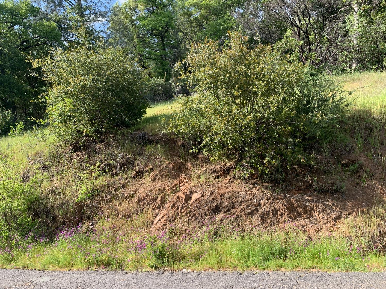 2193 Skunk Ranch Road