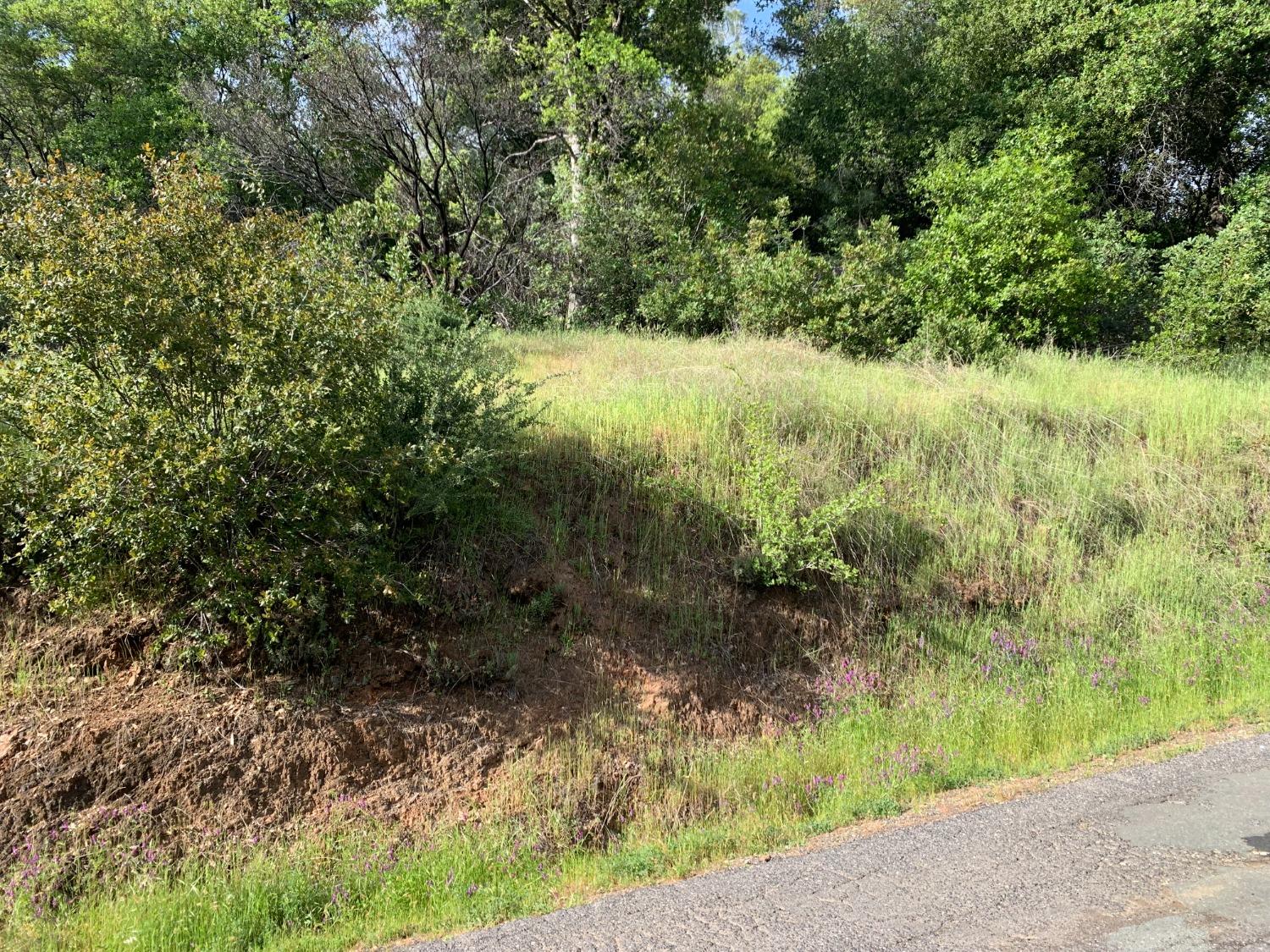 2193 Skunk Ranch Road