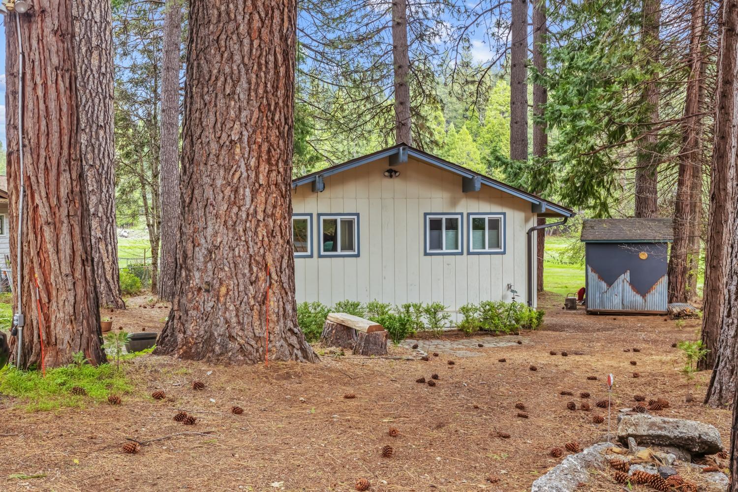 1775 Pine Dr
