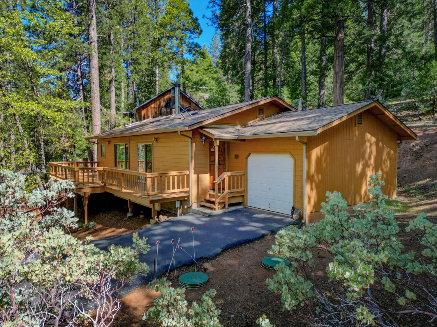 1845 Tamarack Drive