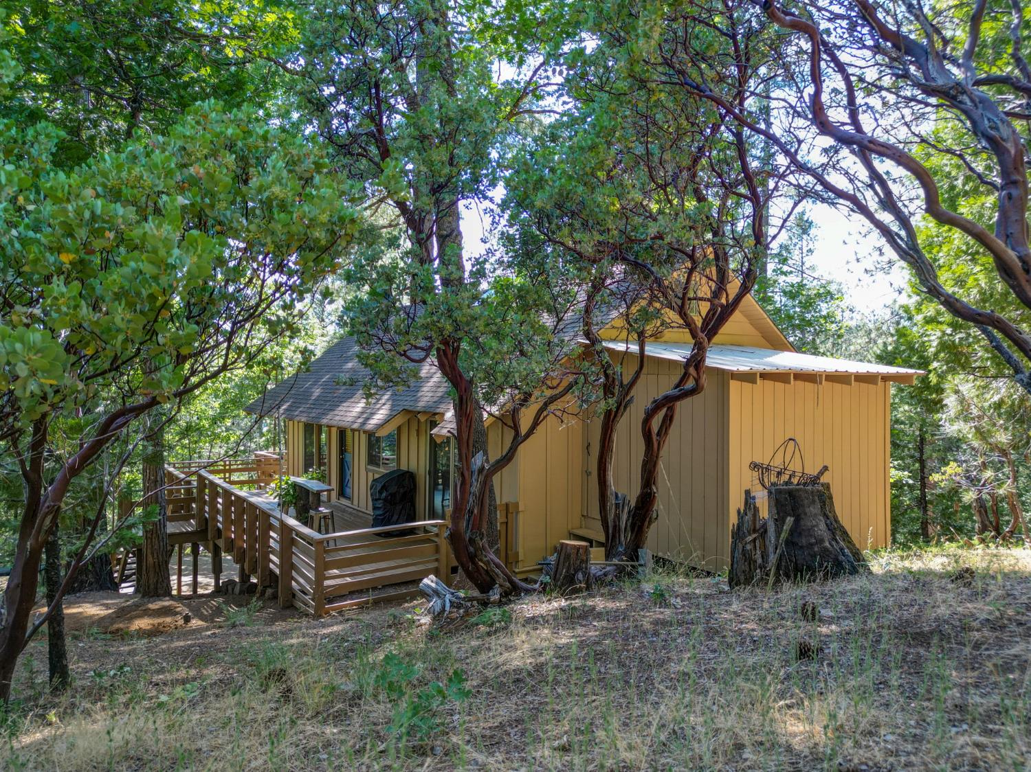 1771 Tamarack Drive