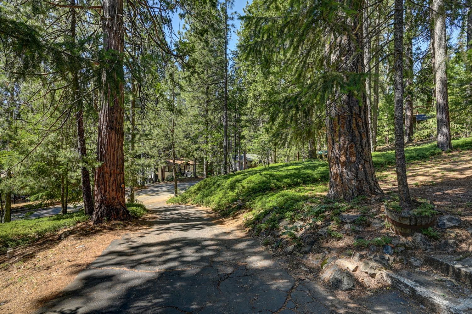 2232 Silver Drive