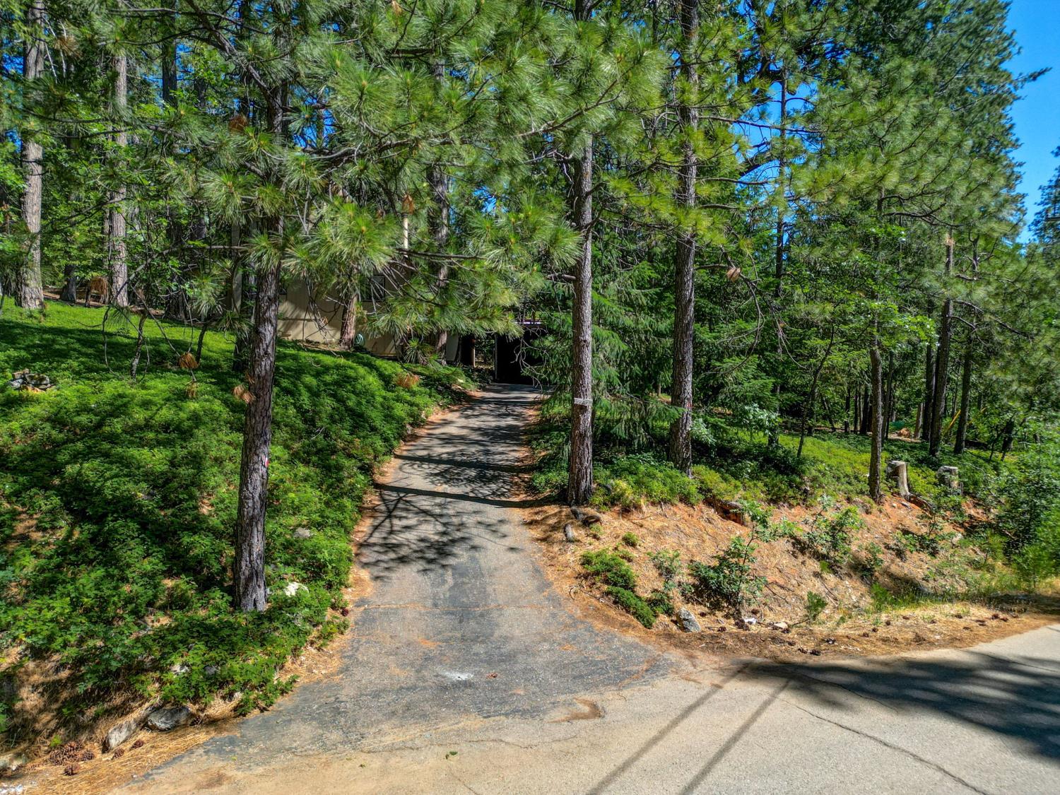 2232 Silver Drive