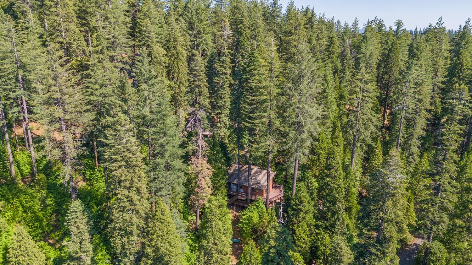 1627 Bonfilio Drive