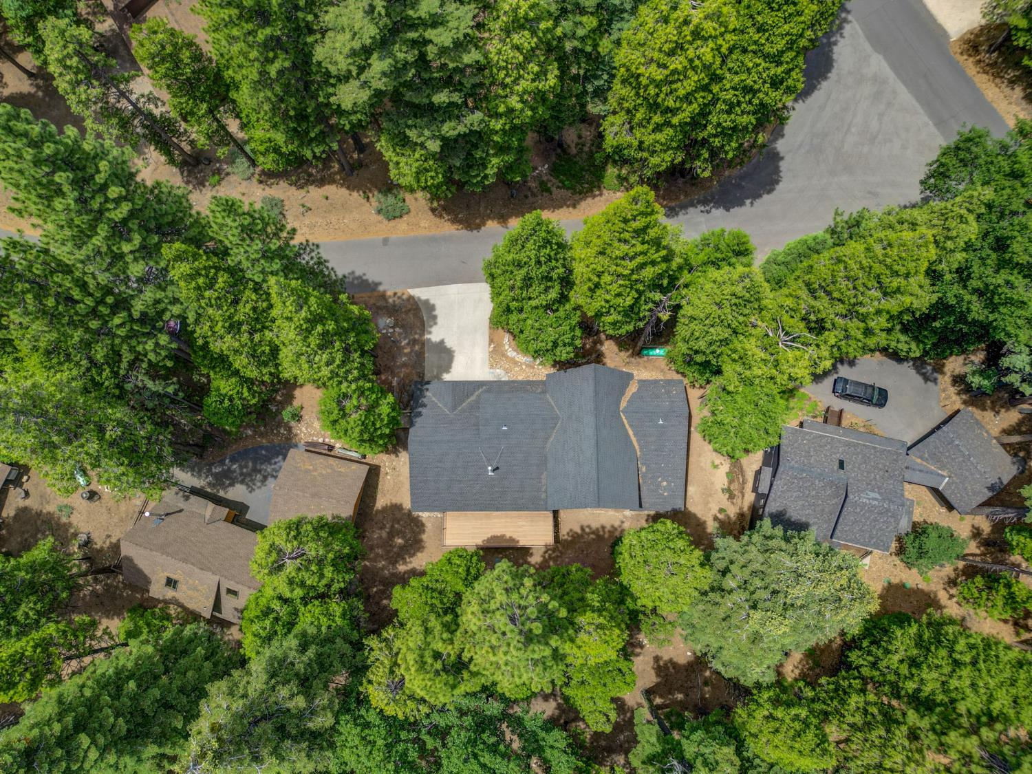 2904 Ute Place