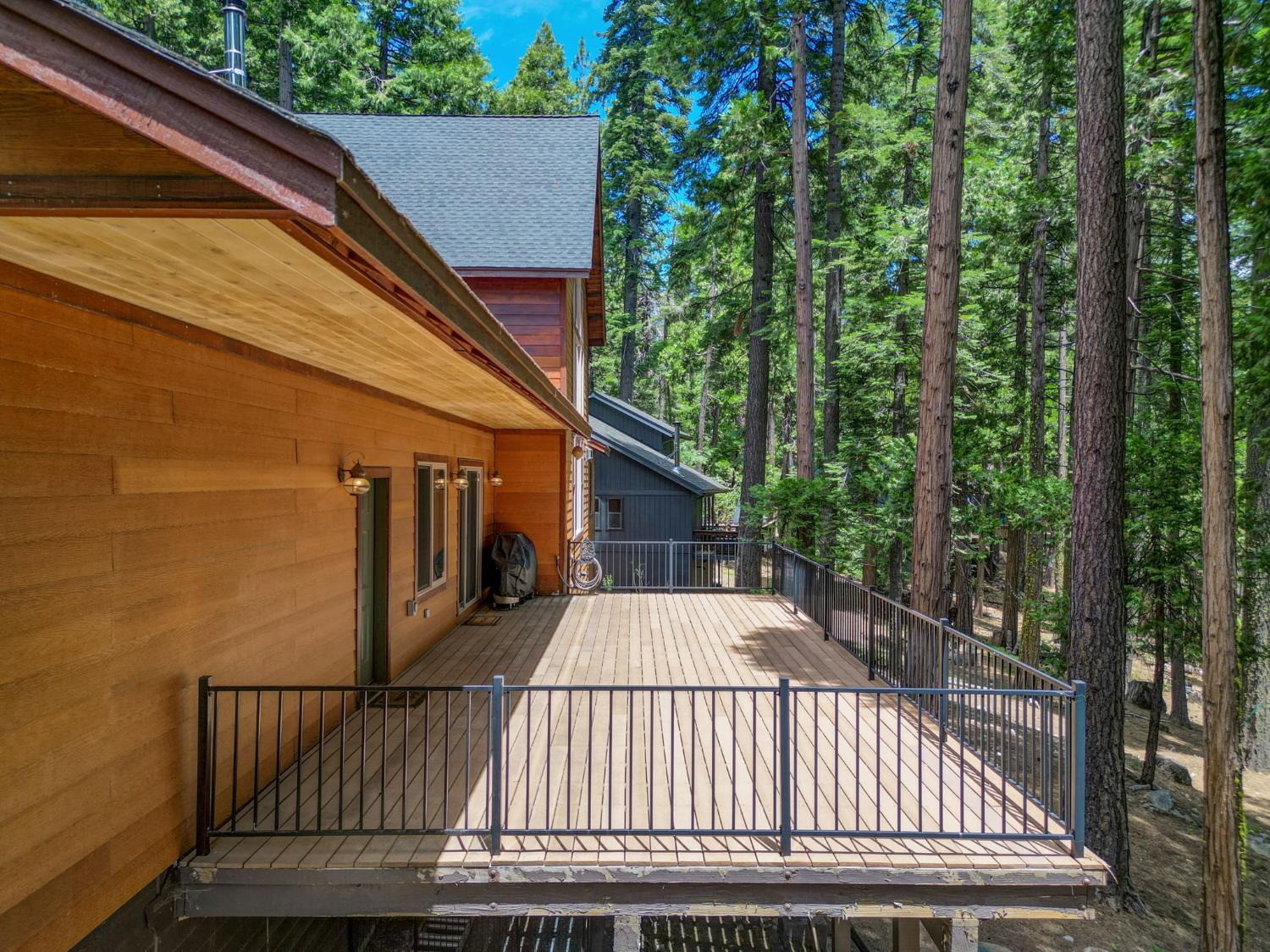 2904 Ute Place