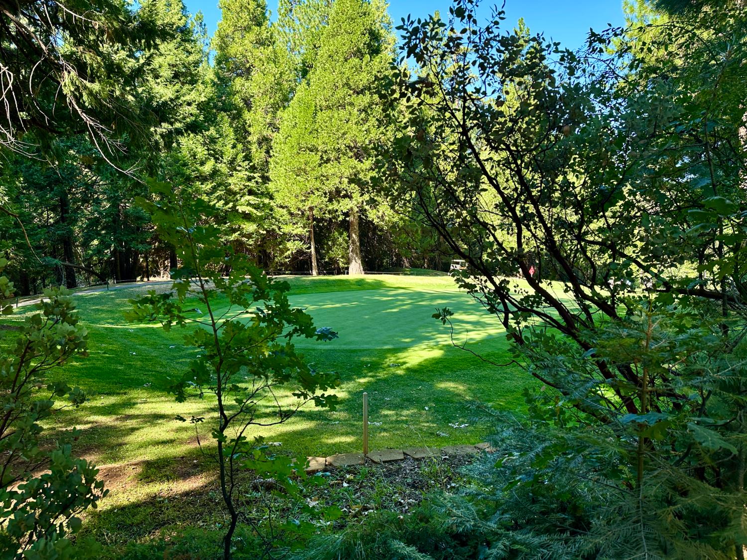 1428 Meadow Drive