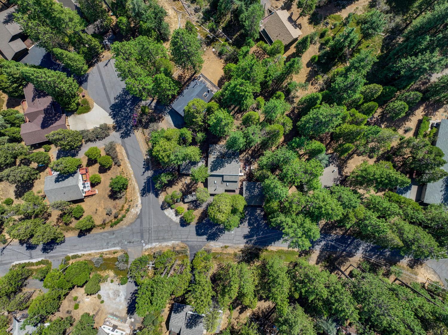 1865 Jerrilynn Drive