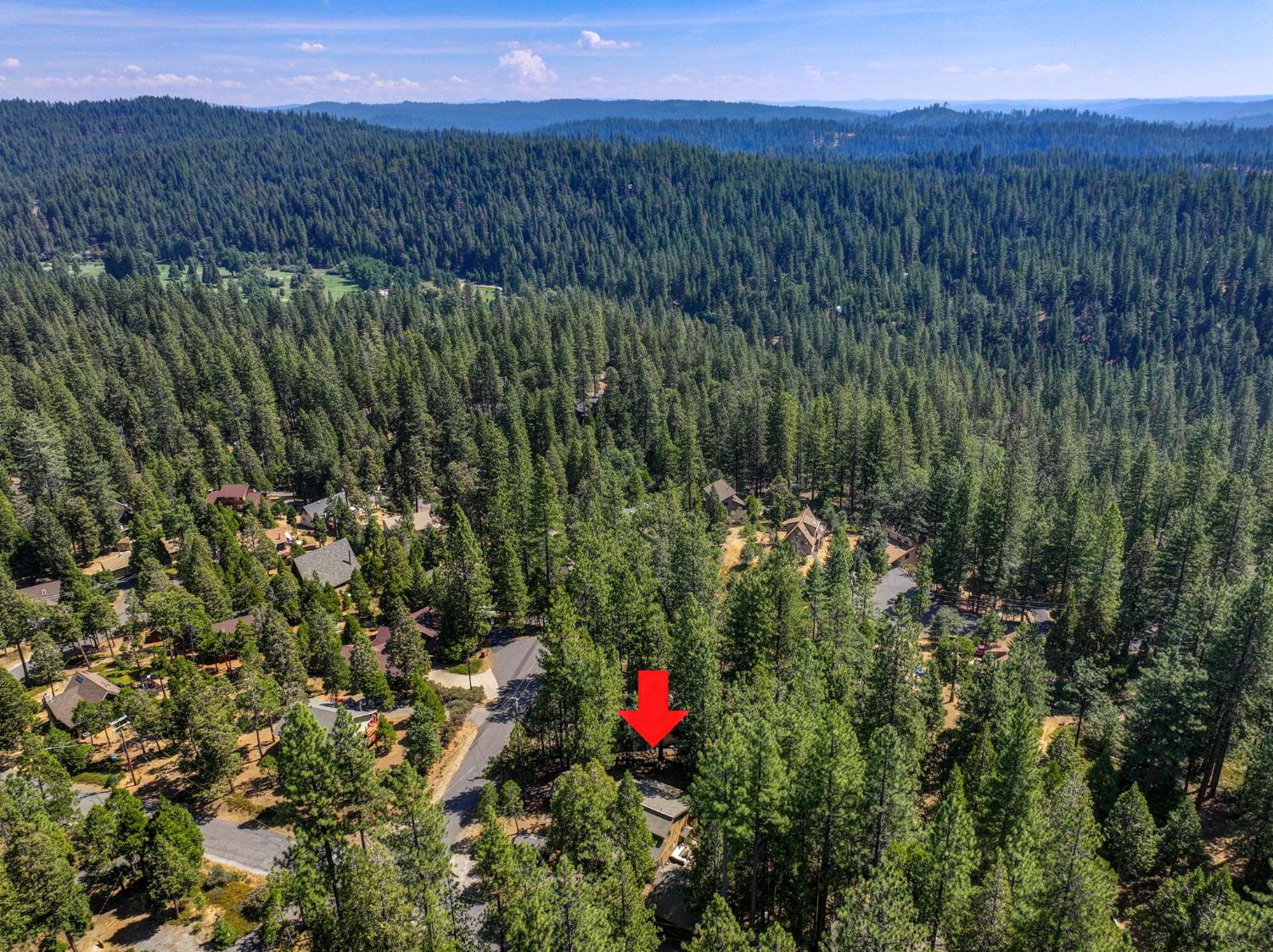 1865 Jerrilynn Drive