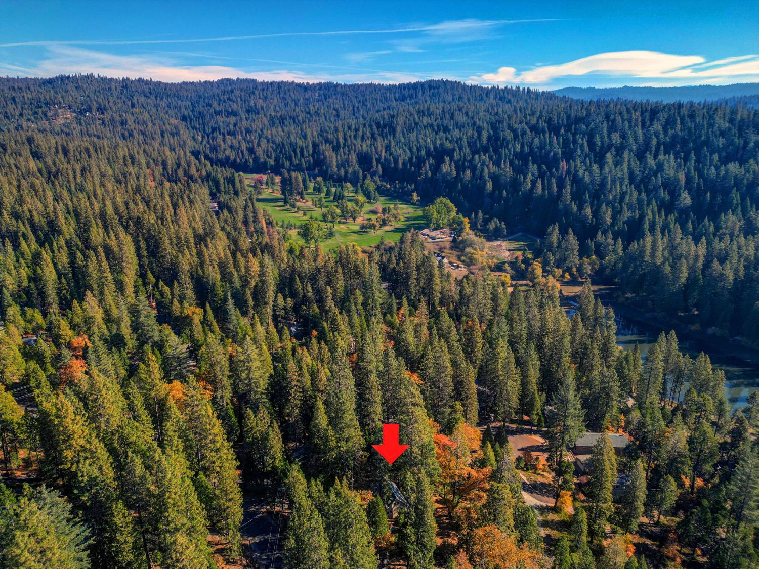 1902 Anna Lee Way