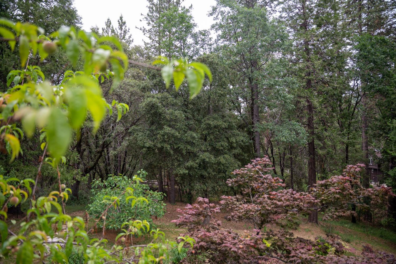 15383 Lake Vera Purdon Road