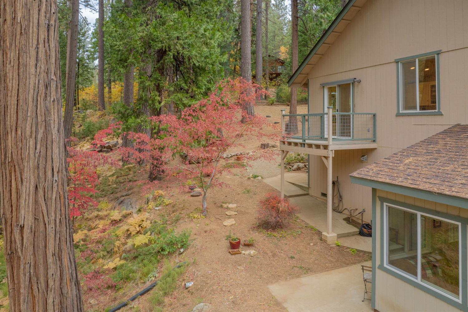 573 Roan Way