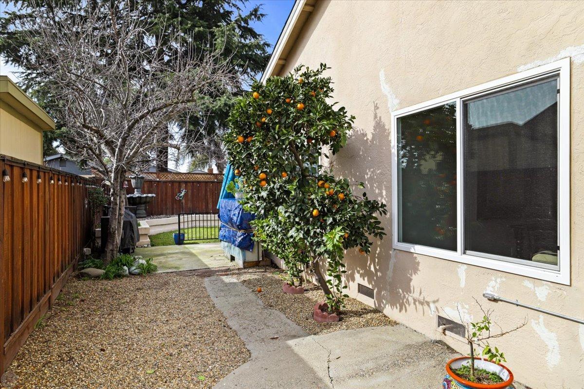 846 Curlew Road