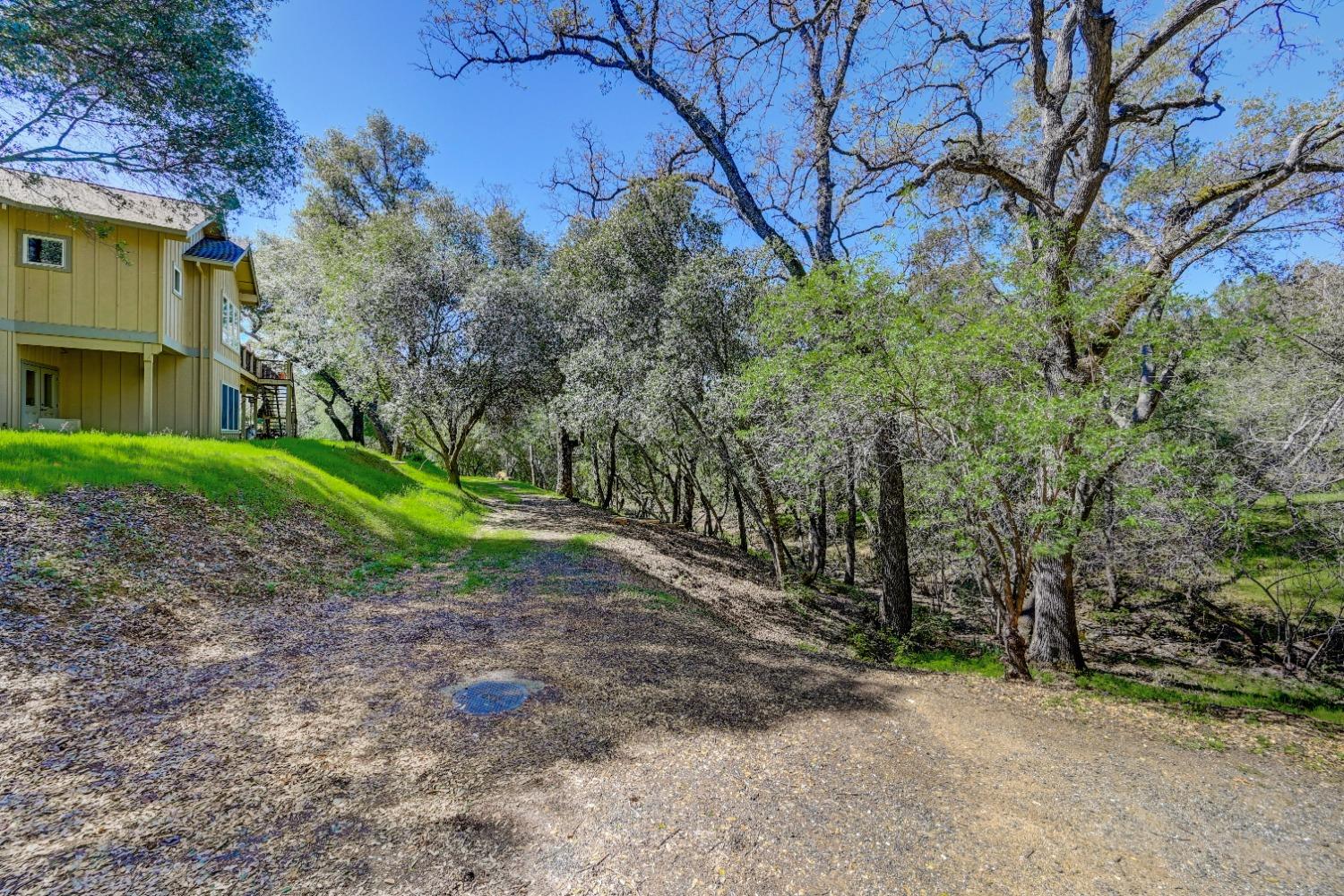 540 Raggio Court