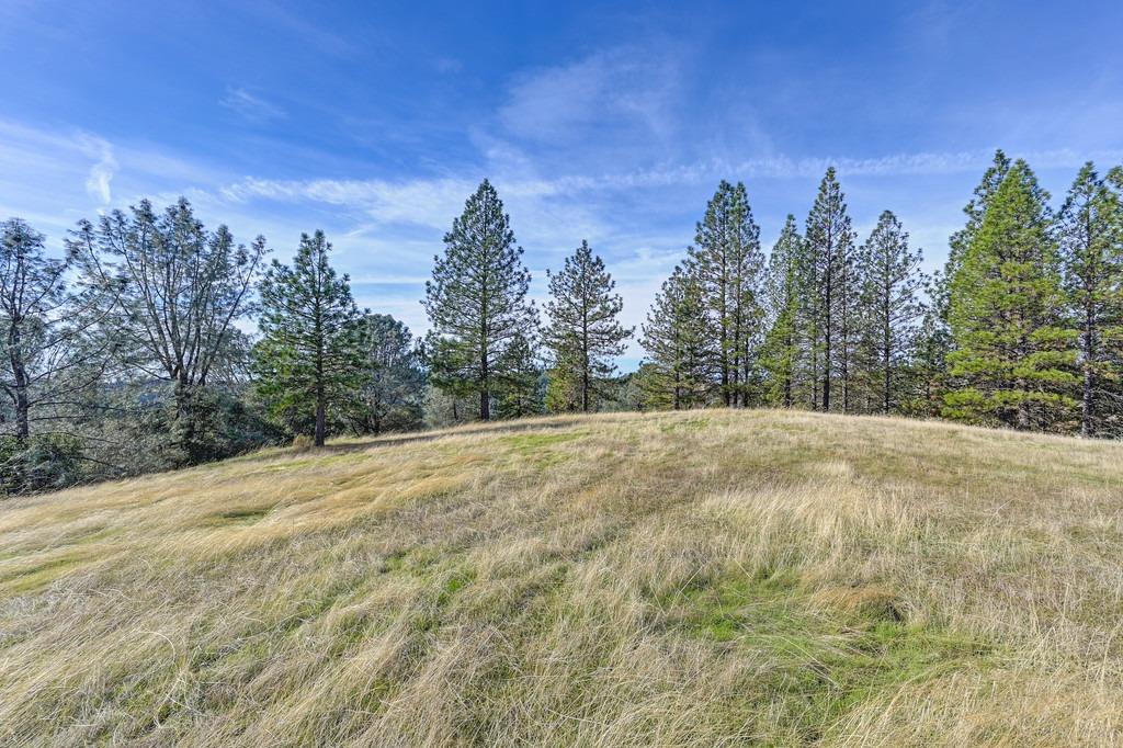 3061 Penobscot Road