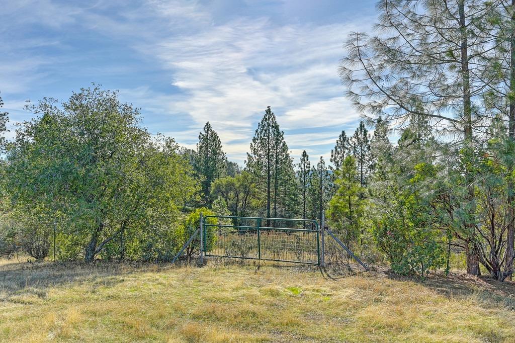 3061 Penobscot Road
