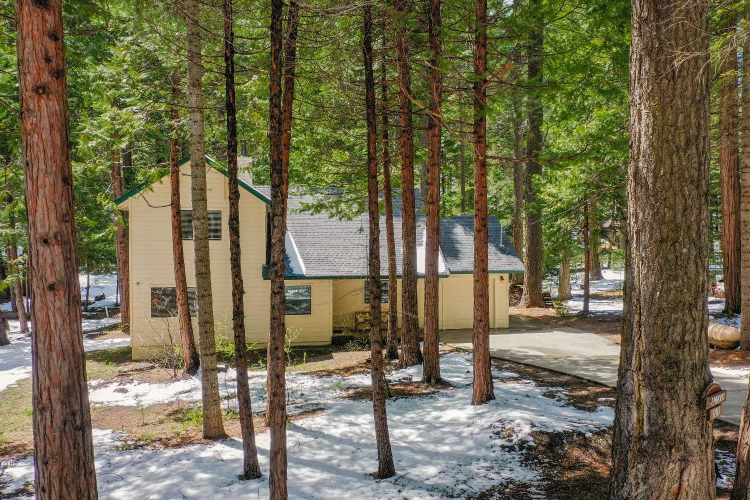 3287 Snowshoe Thompson Trail