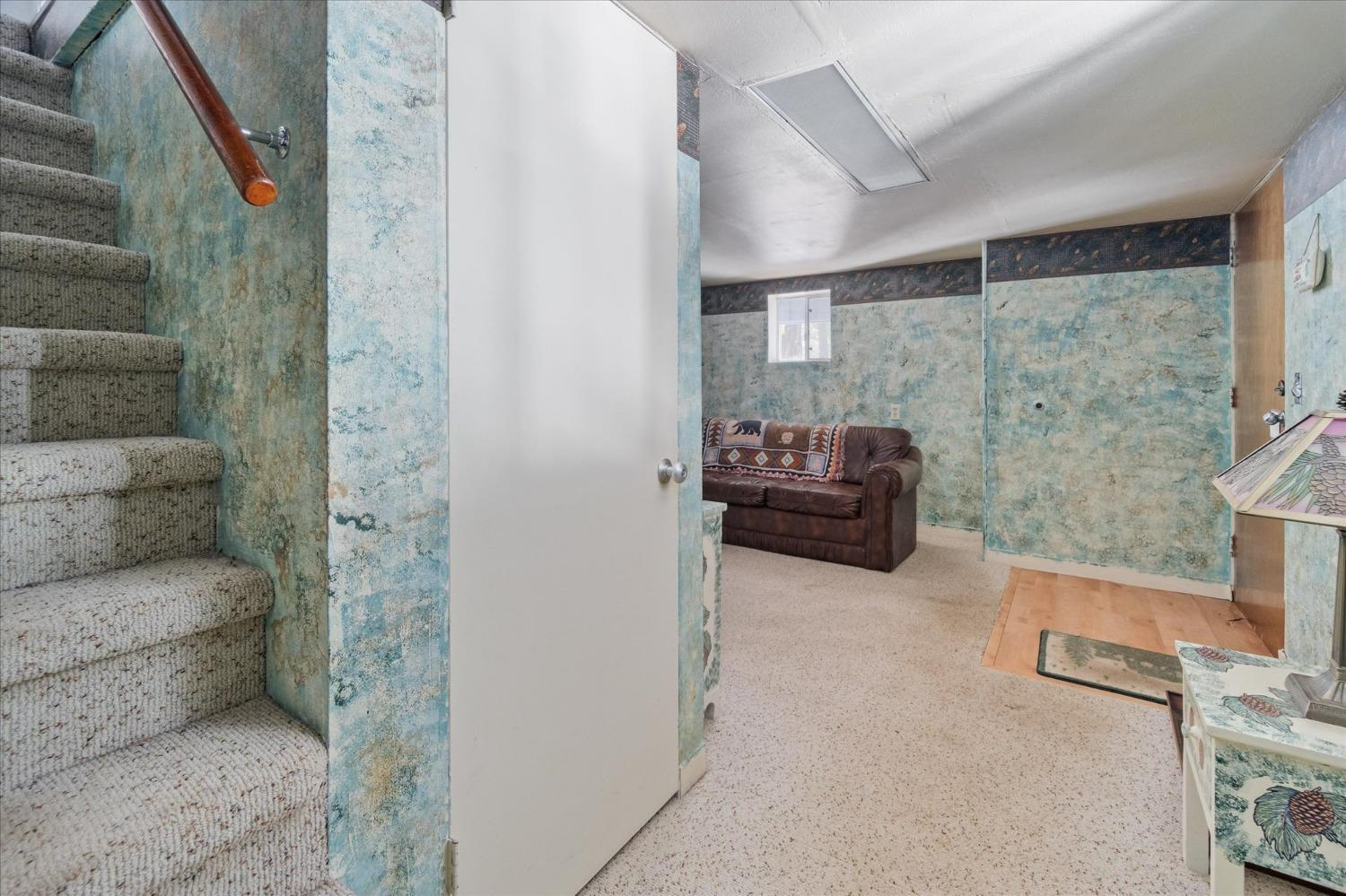 2842 Hangtree Trail