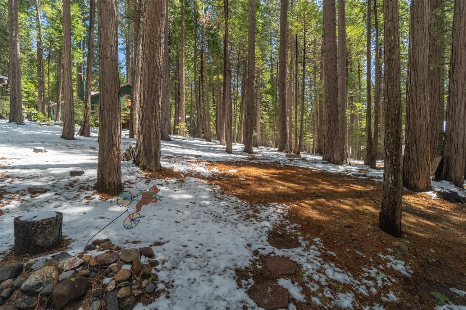 2842 Hangtree Trail