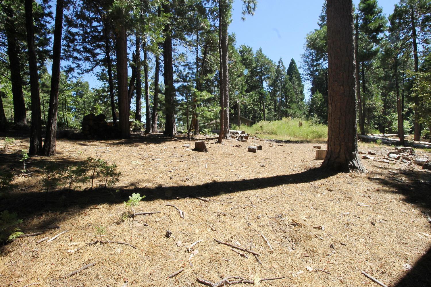 2331 Sultana Road