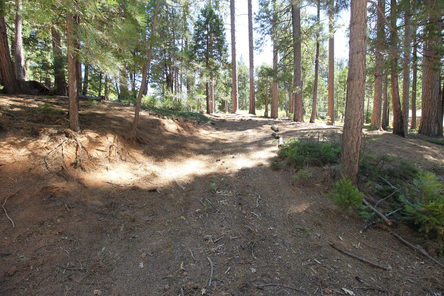 2331 Sultana Road