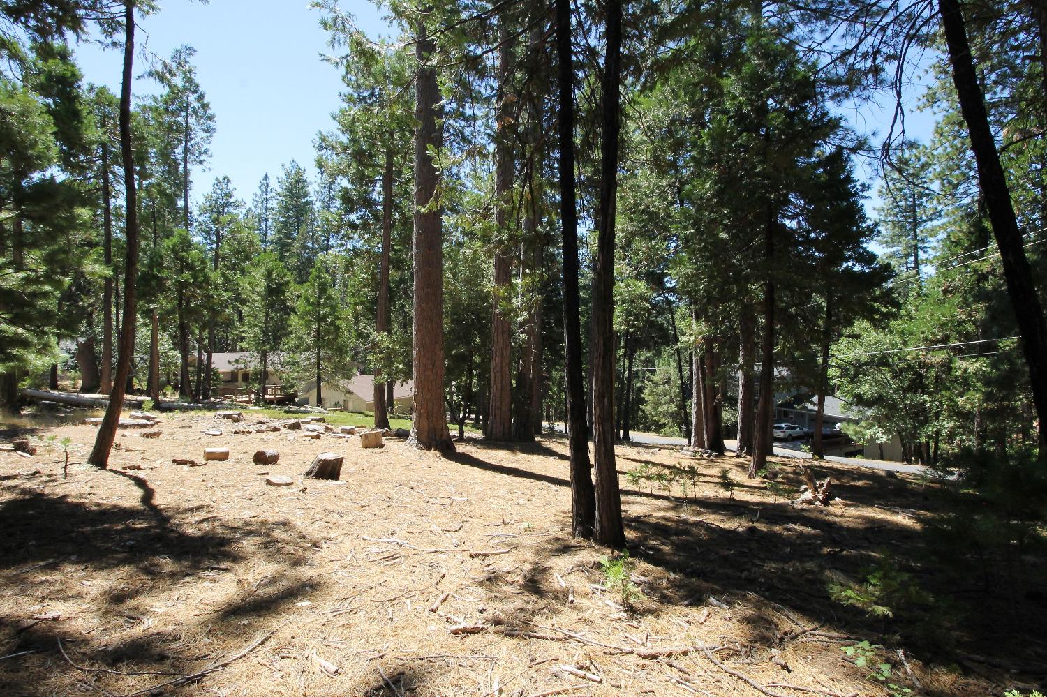 2331 Sultana Road