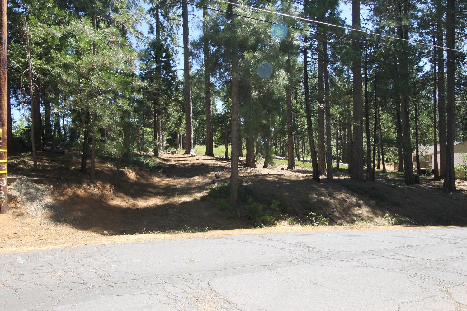 2331 Sultana Road