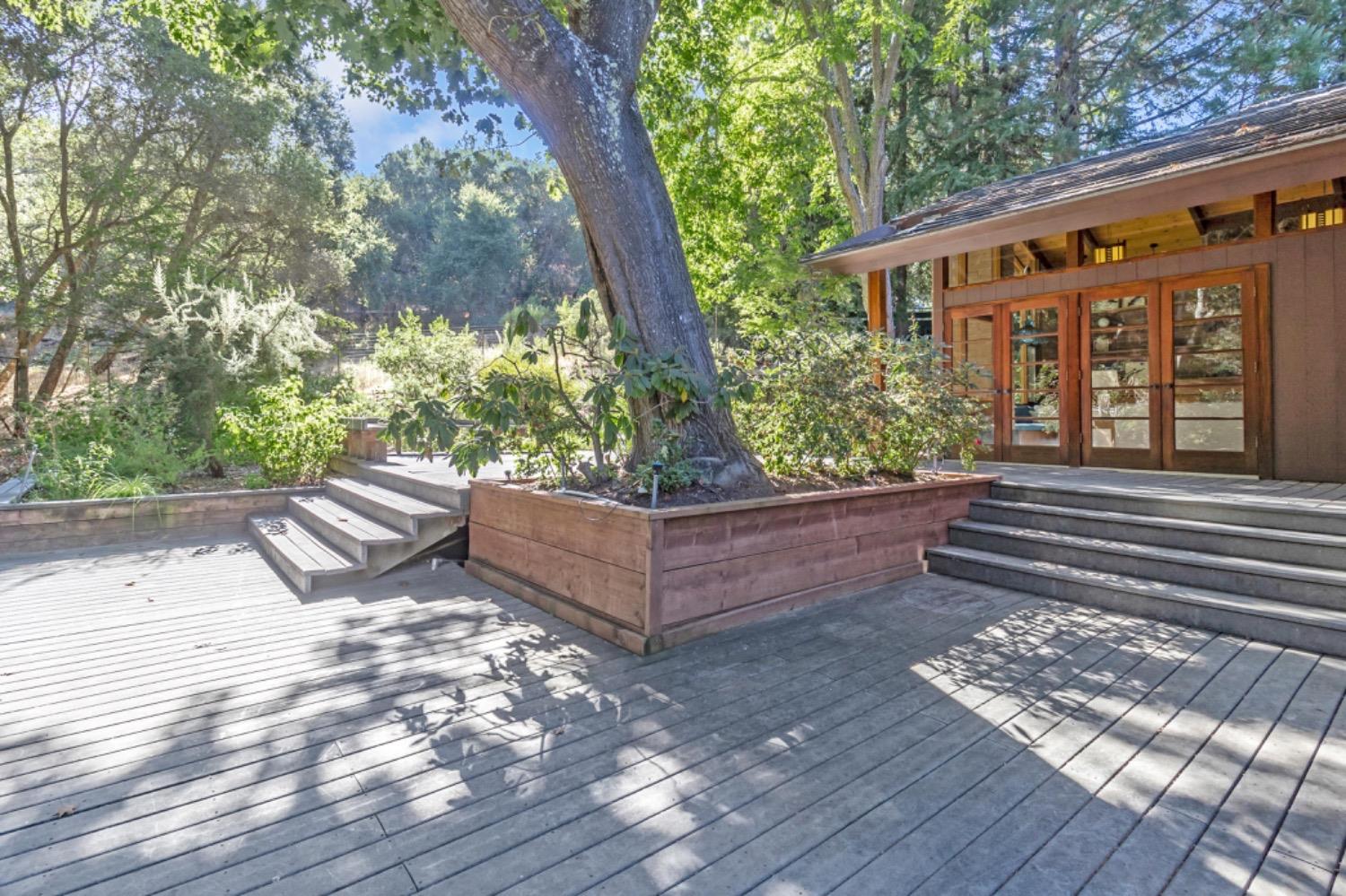 3145 Bandera Drive