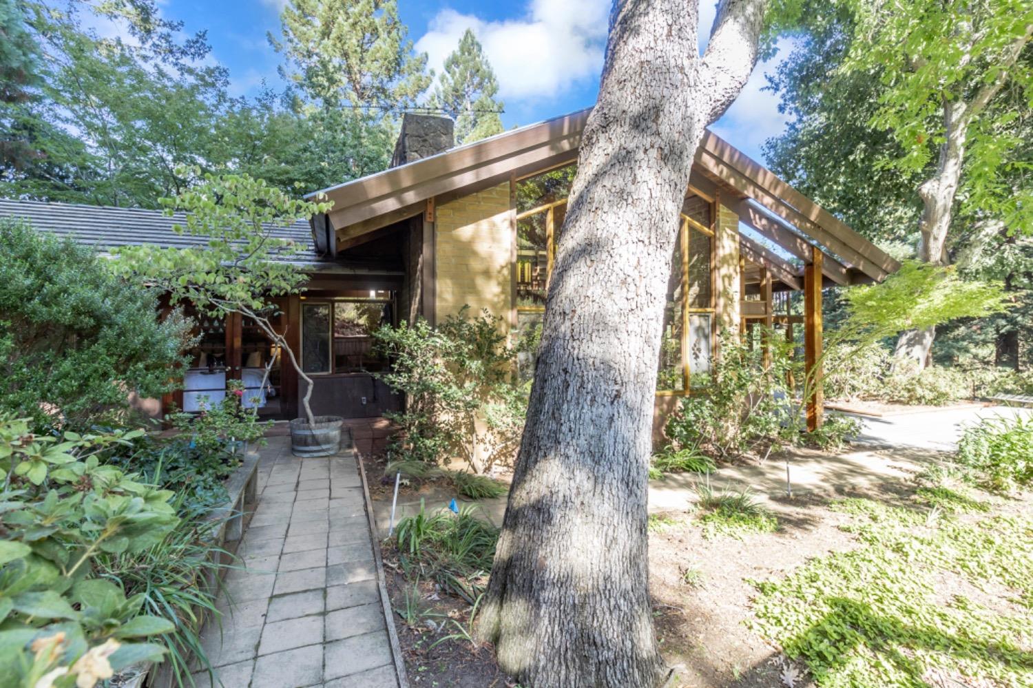 3145 Bandera Drive