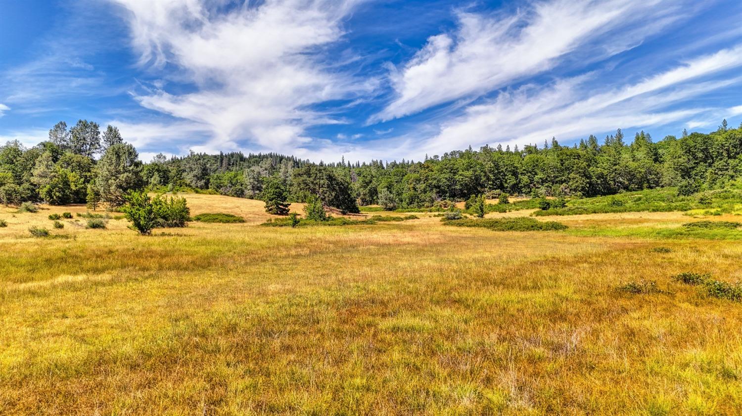 4500 Bear Creek Road