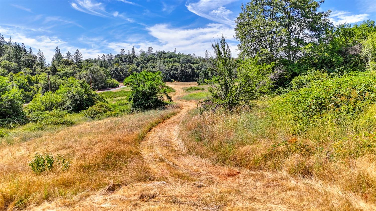 4500 Bear Creek Road