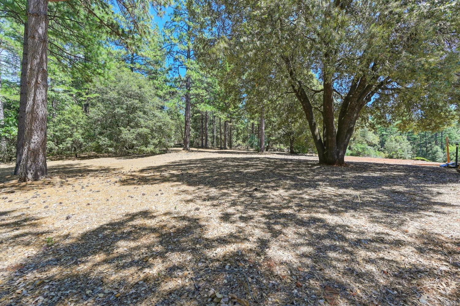 4500 Bear Creek Road