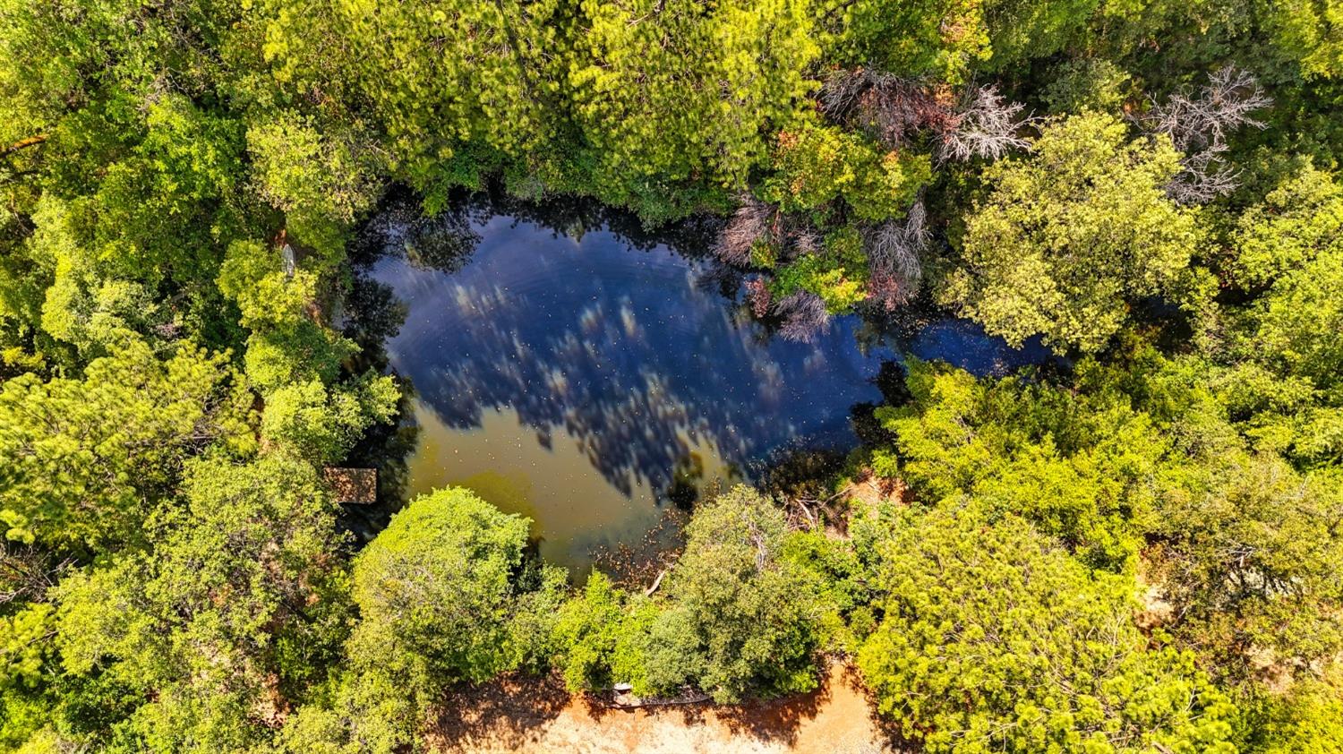 4500 Bear Creek Road