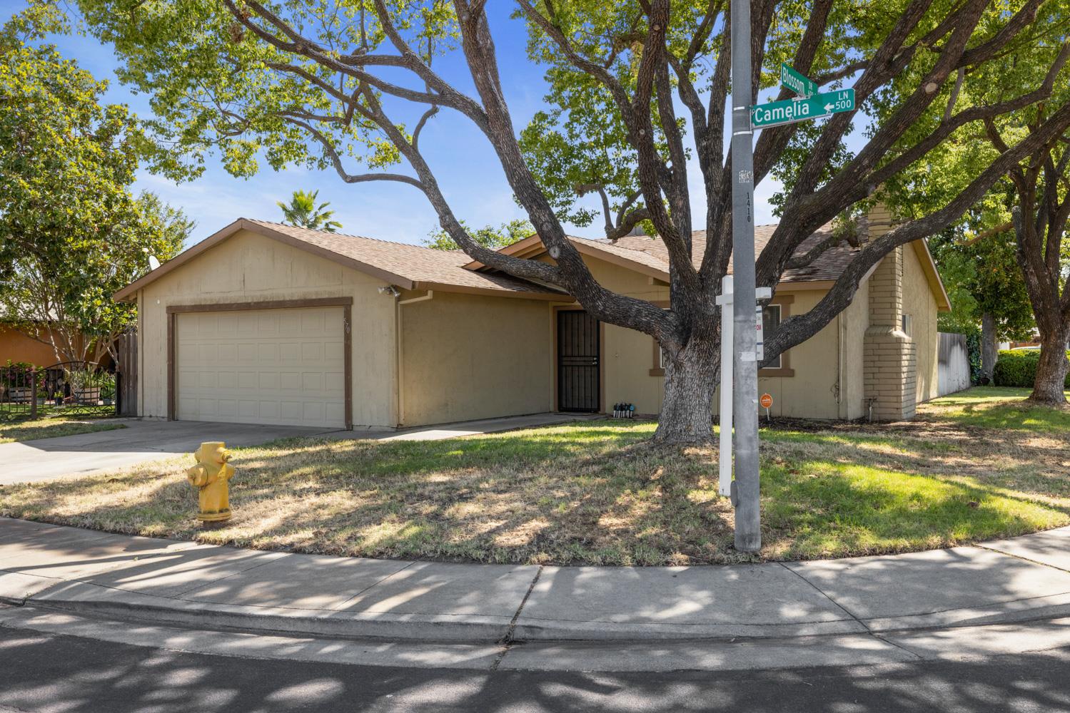 570 Camelia Lane