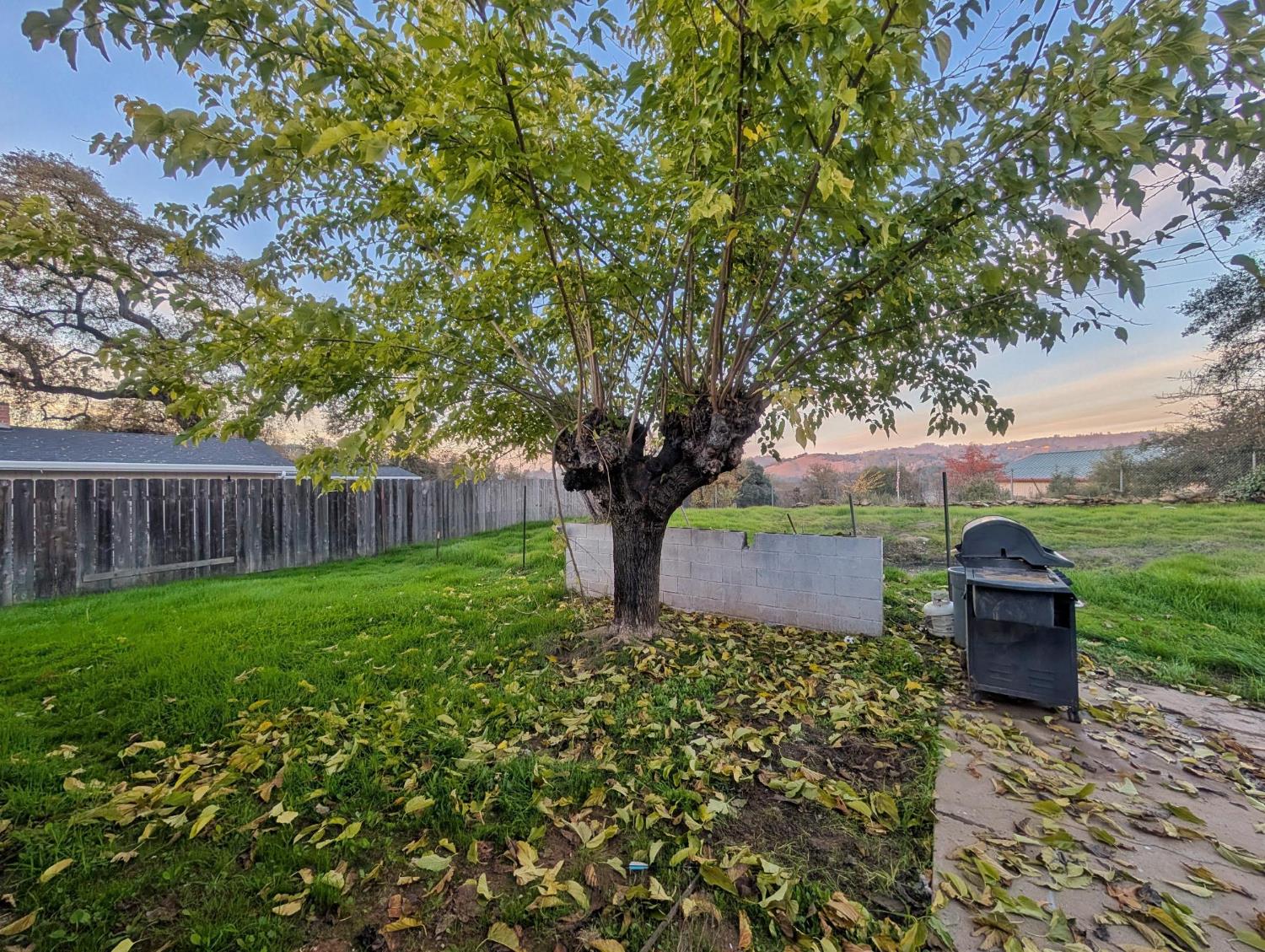 600 Gold Oak Road