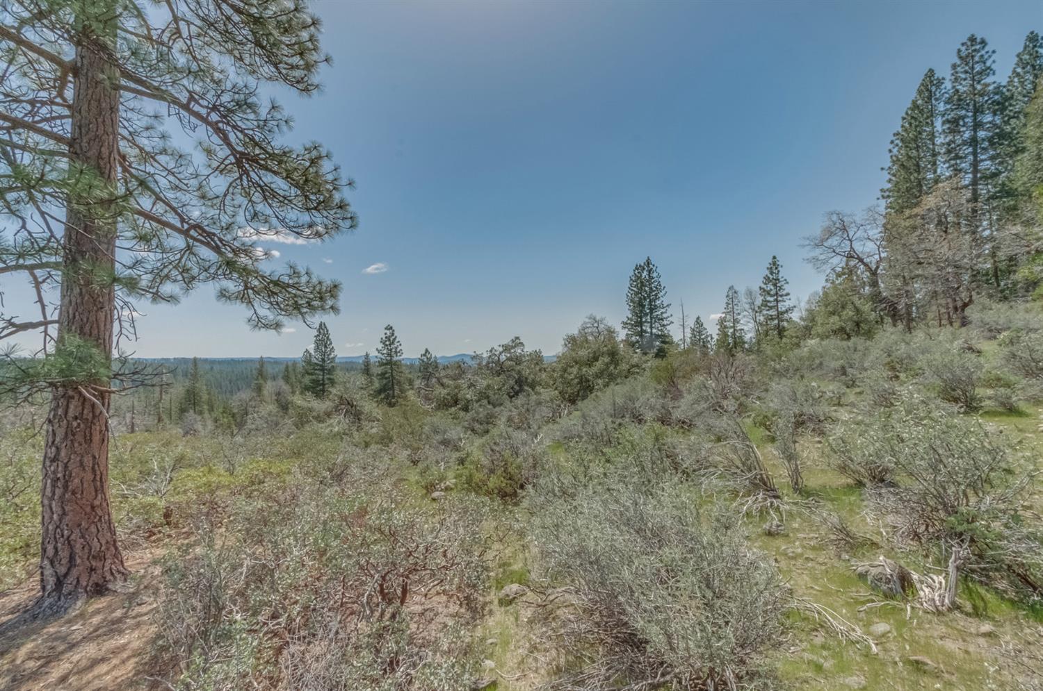0 Summit View