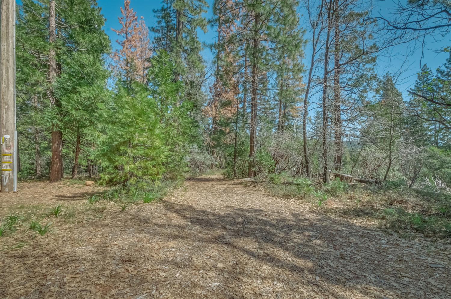 0 Summit View