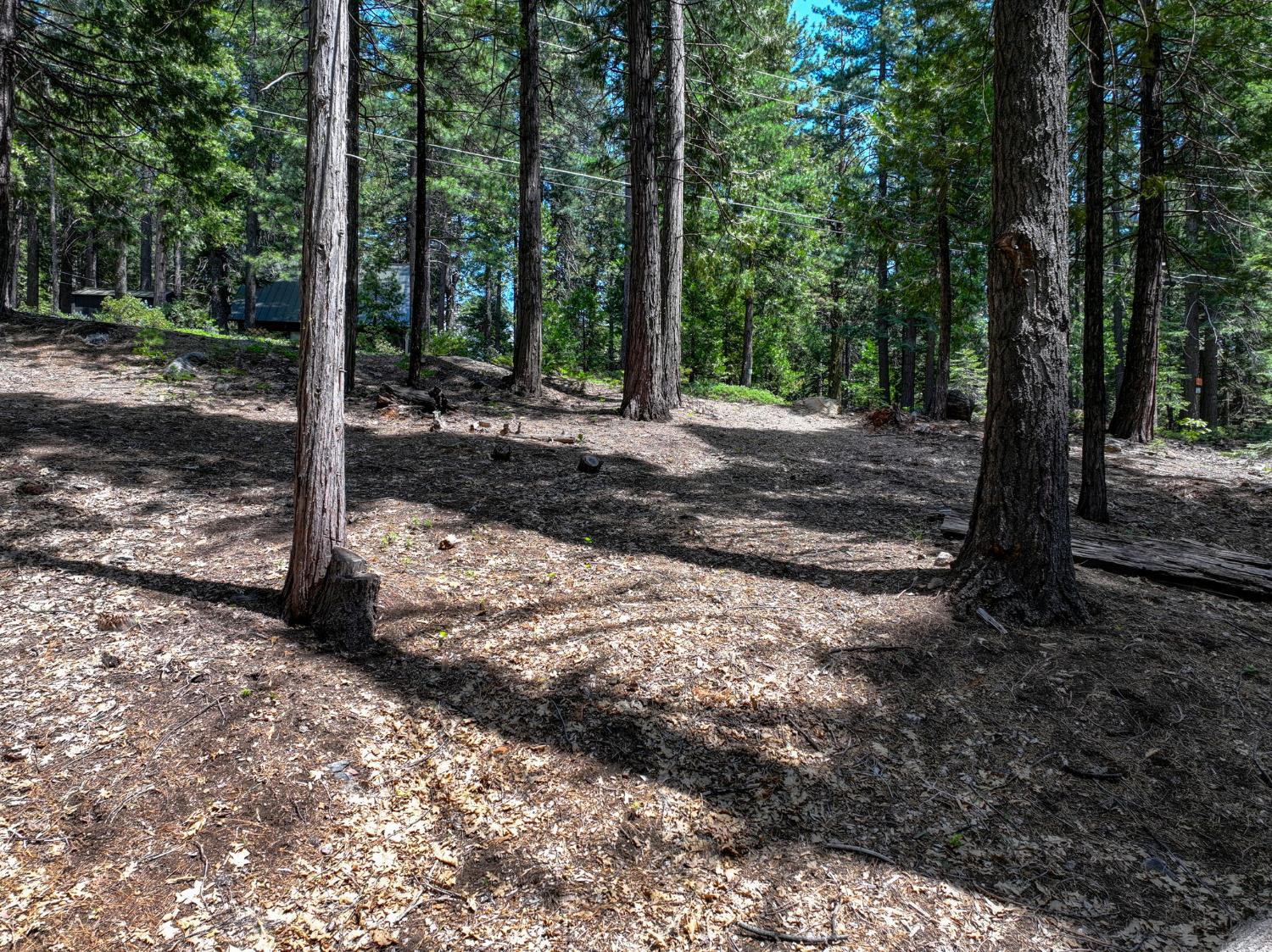 4741 Meko Drive