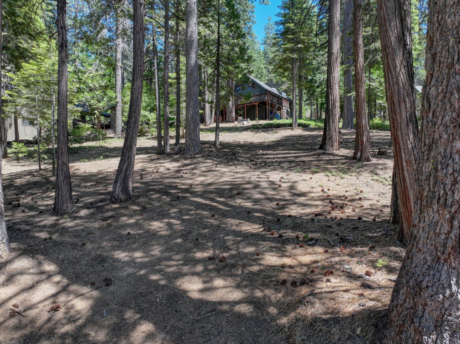 1955 Seminole Way