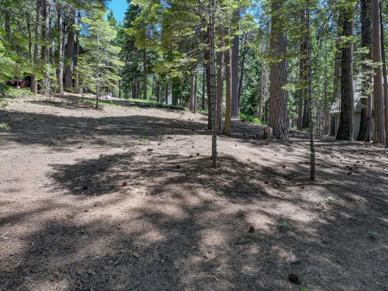 1955 Seminole Way
