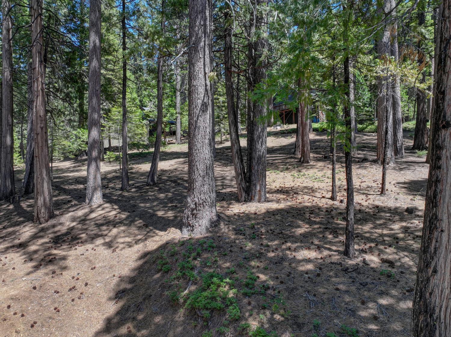 1955 Seminole Way