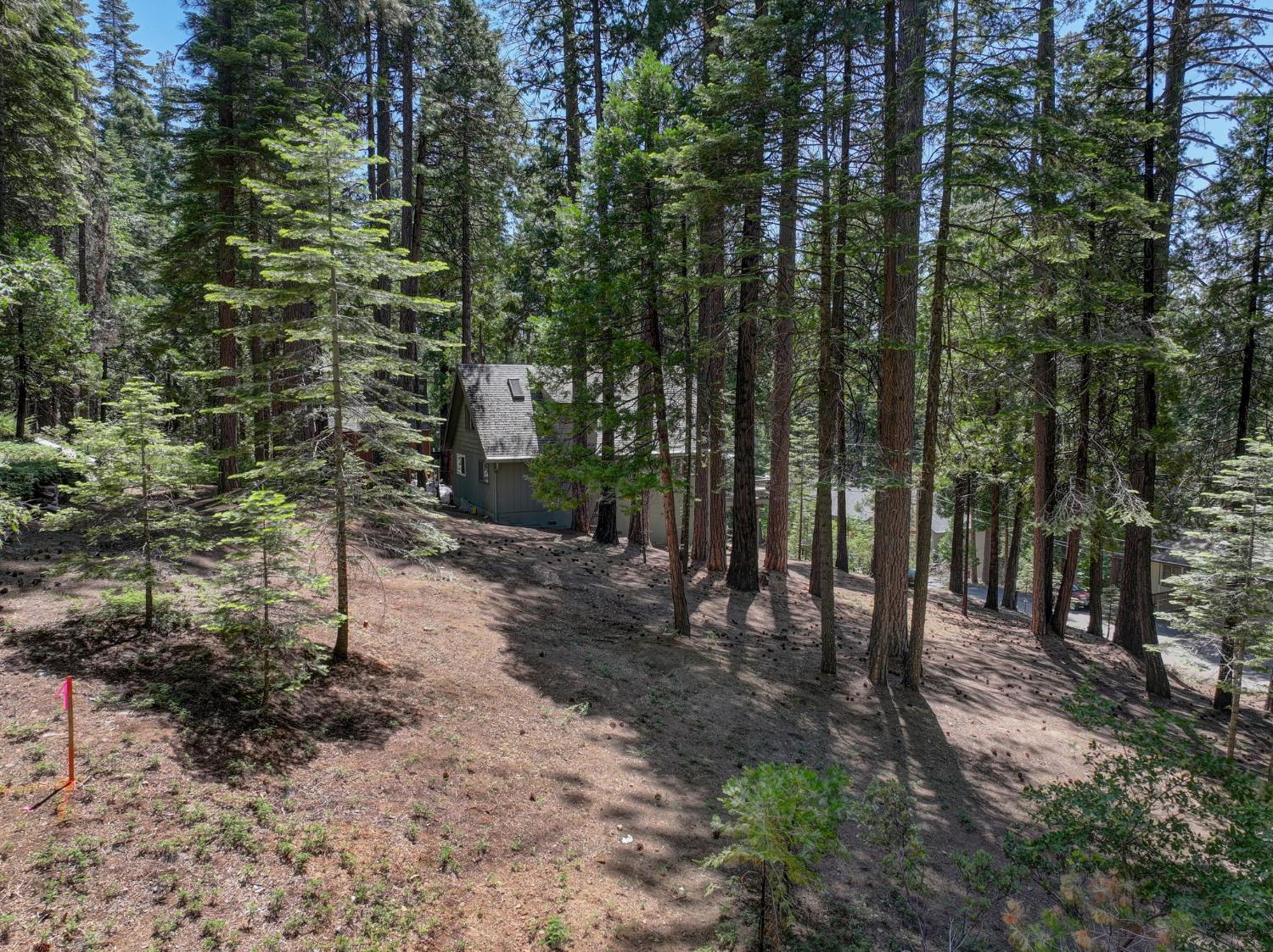 1955 Seminole Way