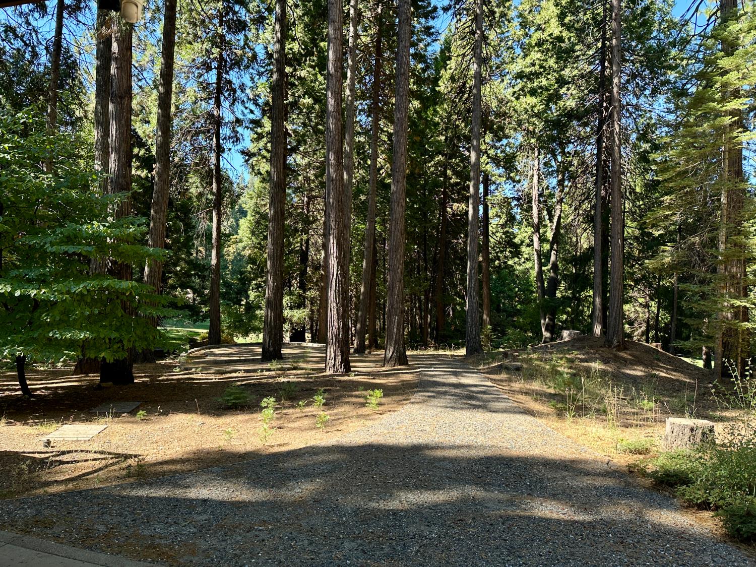 1428 Meadow Drive