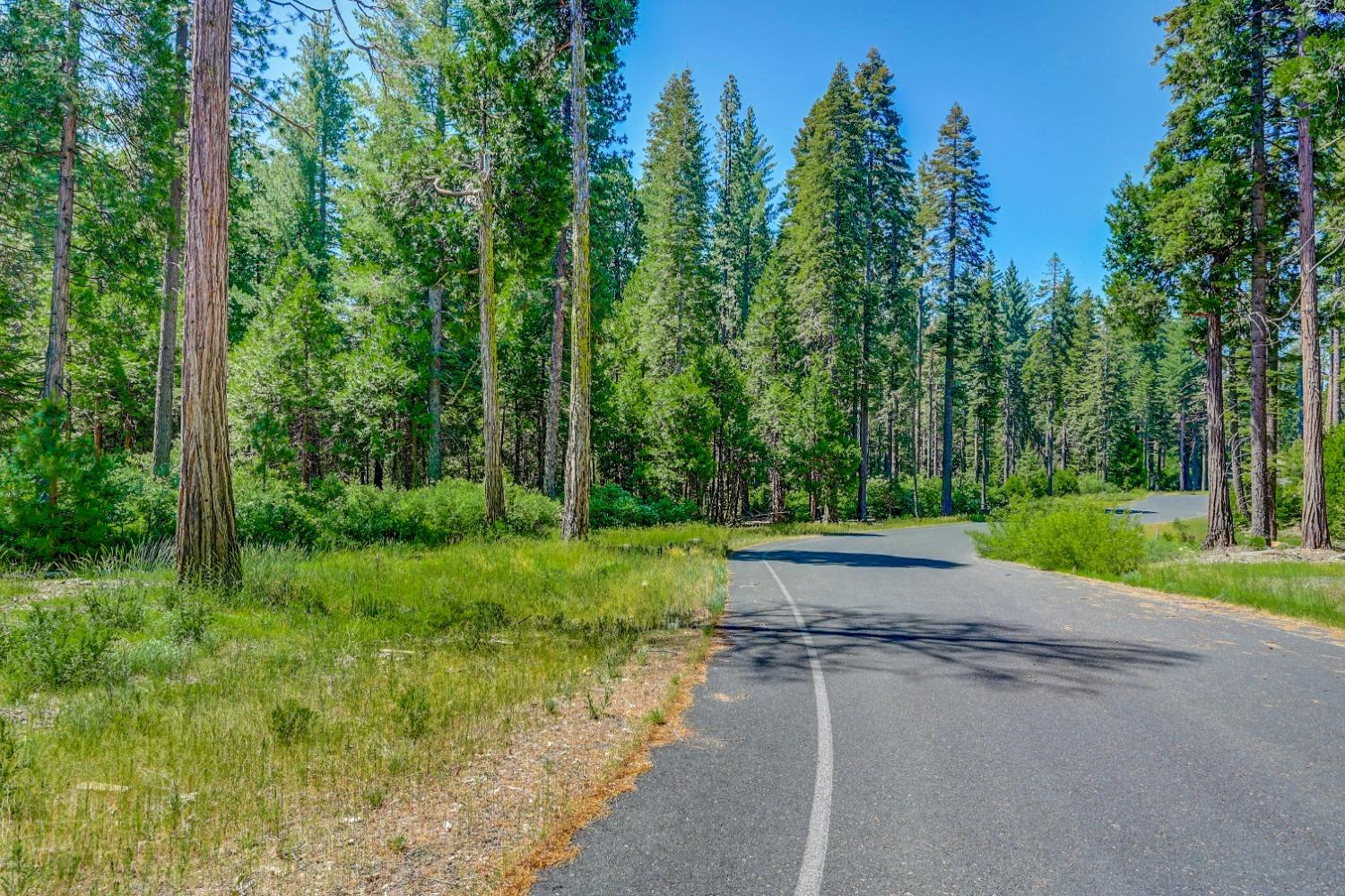 10 Timber Trail Court